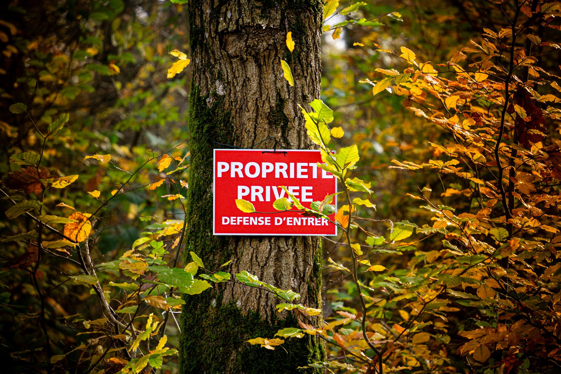 Détective privé à La Seyne-sur-Mer